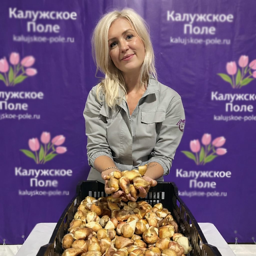 Луковицы тюльпанов для парков и выгонки под 8 марта