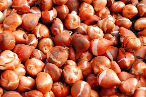 Смотреть все