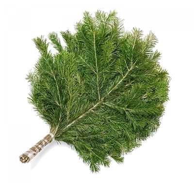 Cибирский лапник